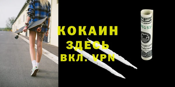 молекула духа Алексин