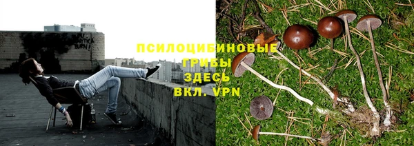ALPHA-PVP Алзамай
