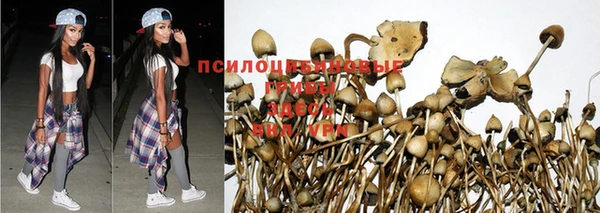 молекула духа Алексин