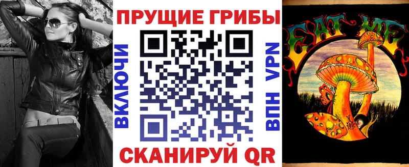 что такое наркотик  Егорьевск  Псилоцибиновые грибы Psilocybe 